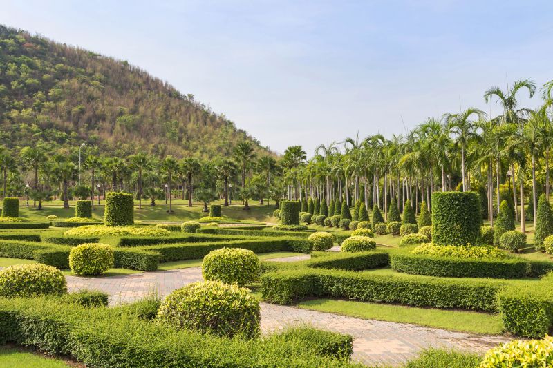 Trimmed Shrubs Along Pathway