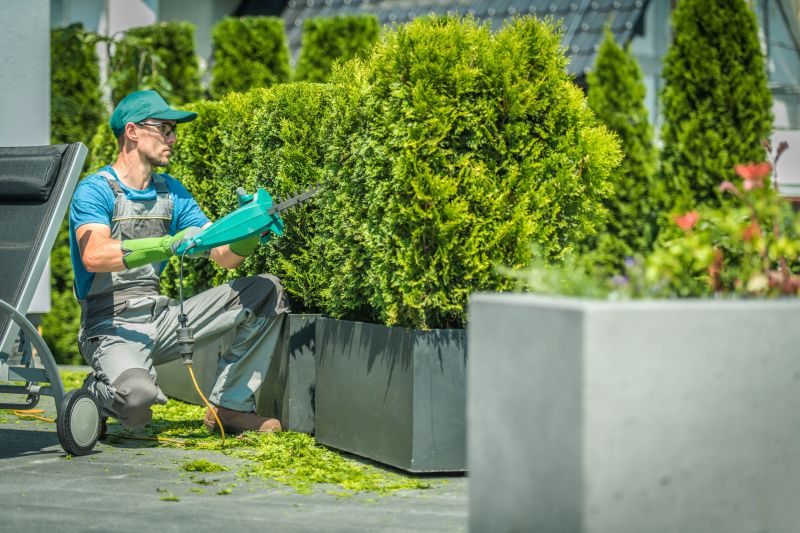 Professional Shrub Trimming in Action