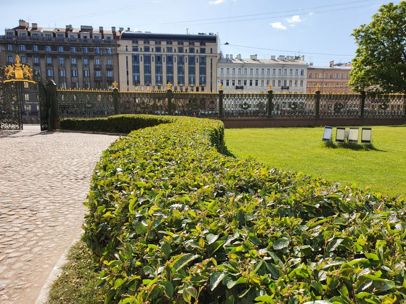 Yard with Well-Maintained Shrubs